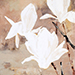 Masaya Eguchi Gallery